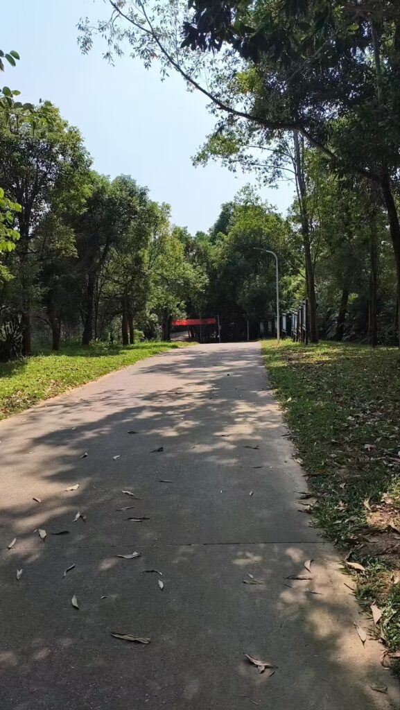 fe442f9509e5c67d56f171245beac9f6