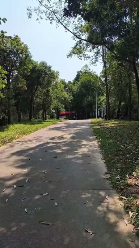 没事干，出来爬爬山-星尘网